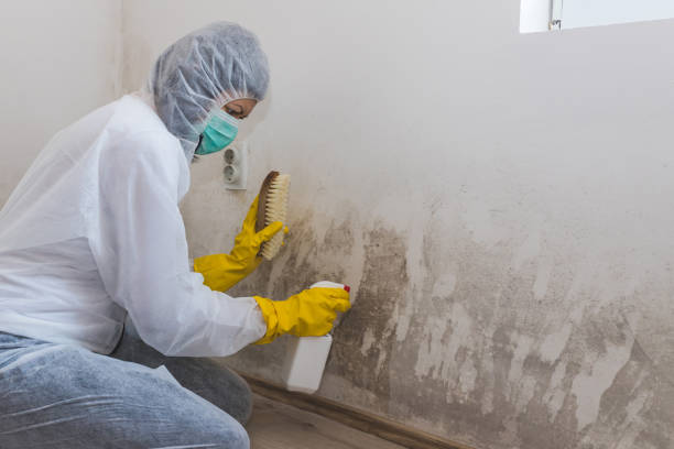 Best Mold Testing  in Santa Rita Ranch, TX