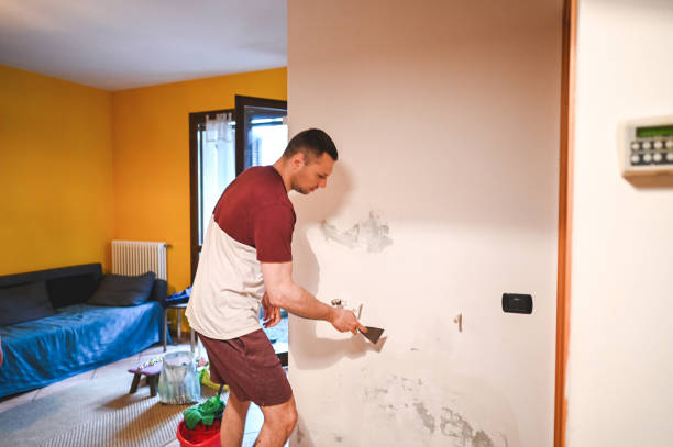 Best Mold Cleaning Services  in Santa Rita Ranch, TX