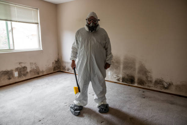 Best Professional Mold Removal  in Santa Rita Ranch, TX